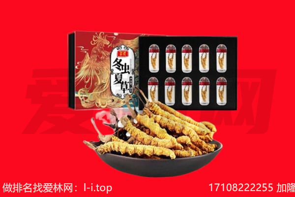 江门市新会回收虫草.jpg